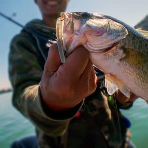 elliot watersports img