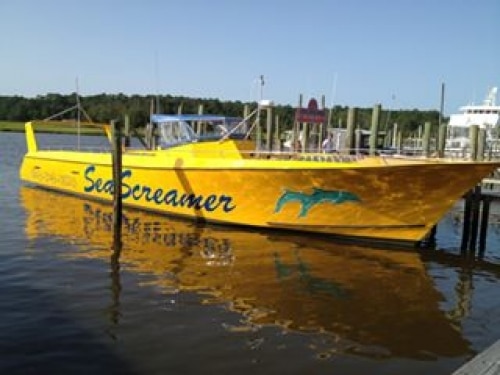 sea screamer